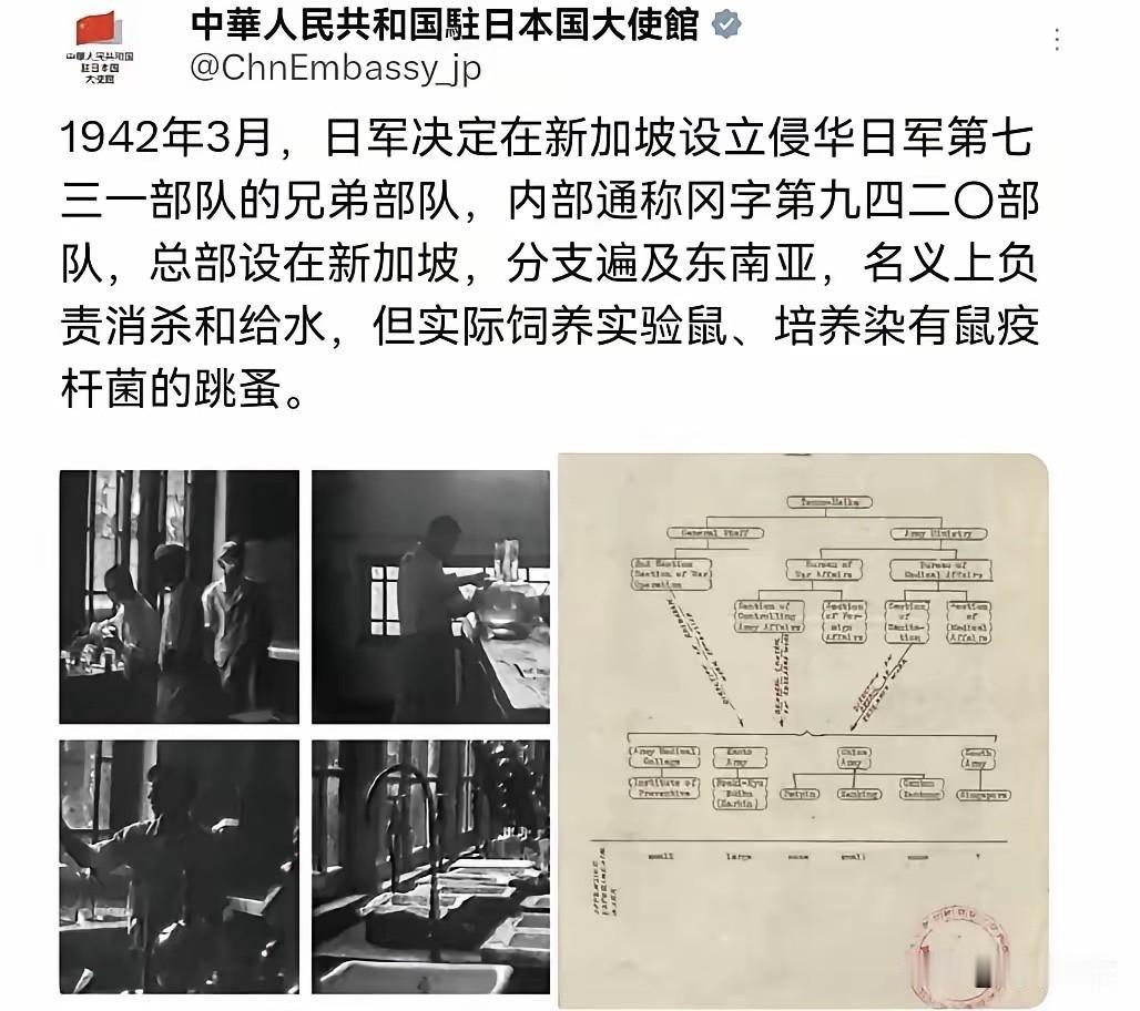 毒窝铁证！看你新加坡的脸往哪搁？黄循财“放下历史”的屁话，被日军9420部队