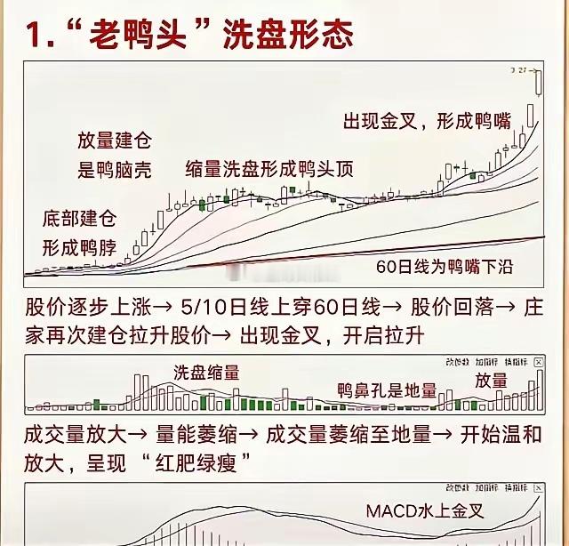 别被主力洗出去了！这六种“坑人”套路，看懂了你就是赢家三四十年的老股民还在念叨缩