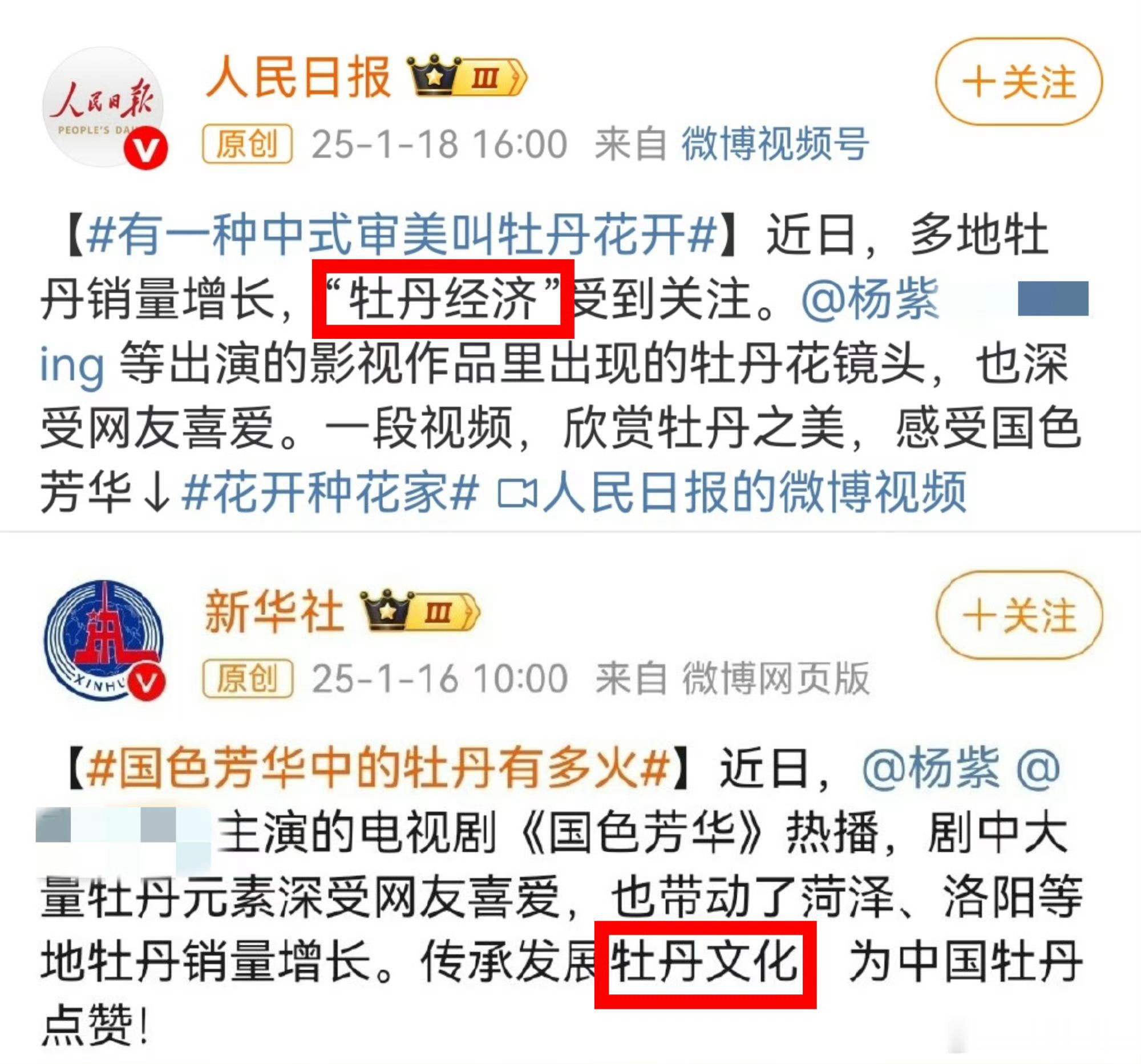 金鹰奖视后提名预测作品厚度我选杨紫，两部爆剧生命树和国色芳华作品广度我选杨紫，古