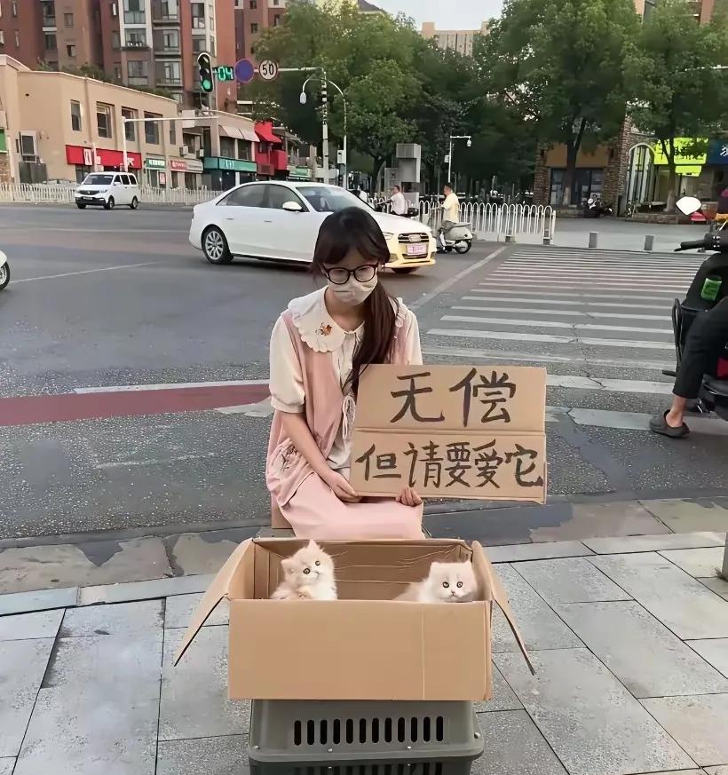 另一种营销而已，玩的文字游戏吧。猫不要钱，其他都要钱？#脑洞文字游戏#