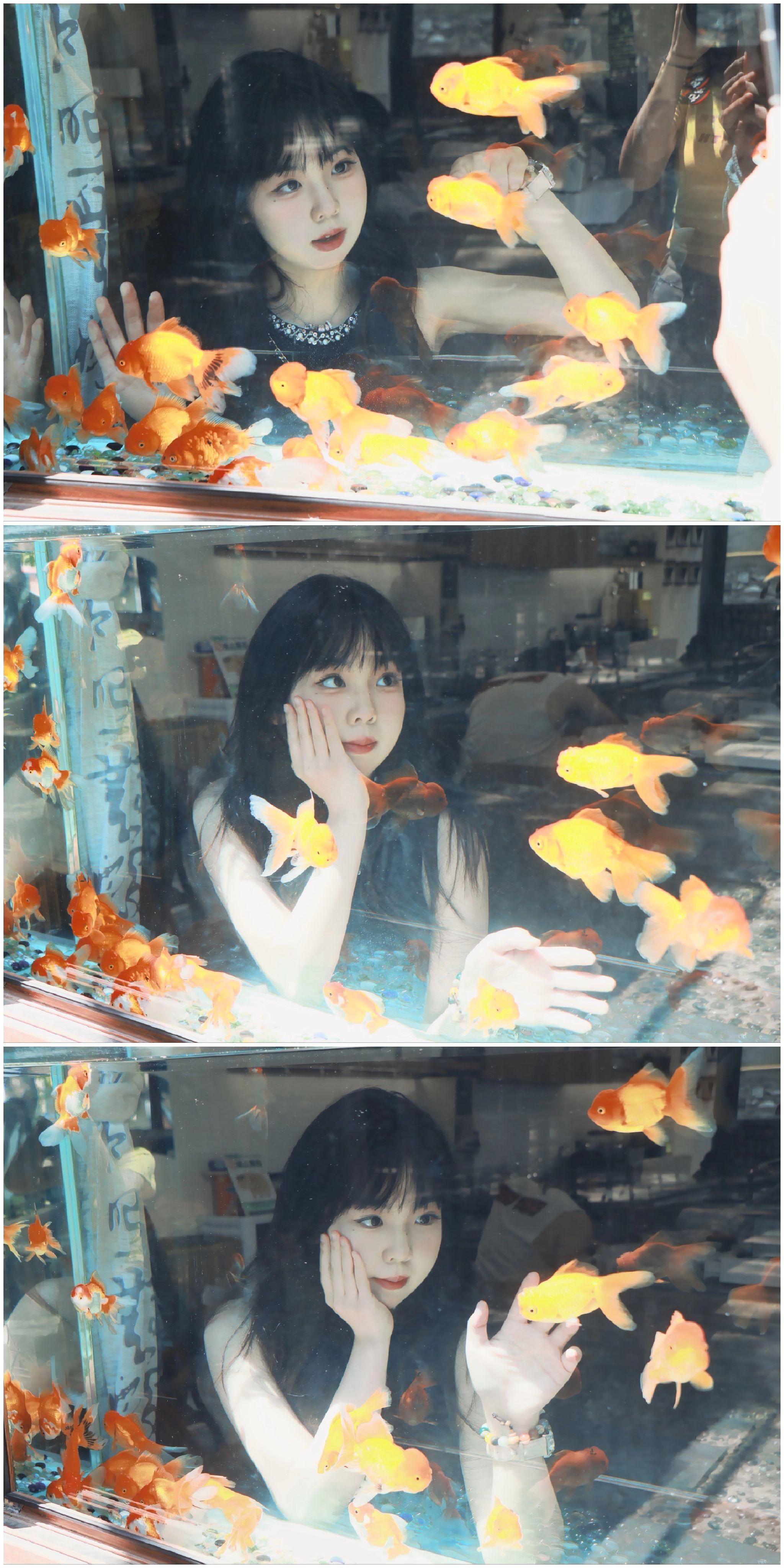 掉进金鱼的梦境 𓏸𓂂𓈒🐟