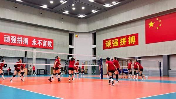 中国女排球衣号易主朱婷袁心玥失位,赵勇做事与蔡斌形成两极端