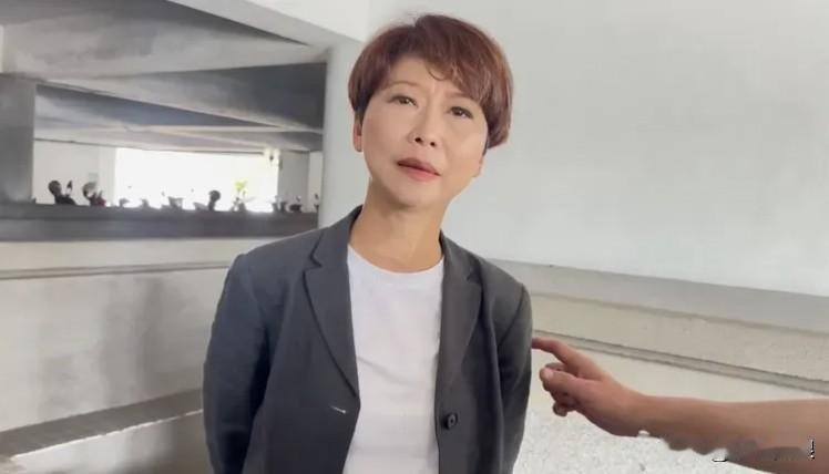 昨天，民进党立委陈亭妃为了竞选台南市长，在台南举行造势活动，赖系独派要求陈婷妃承