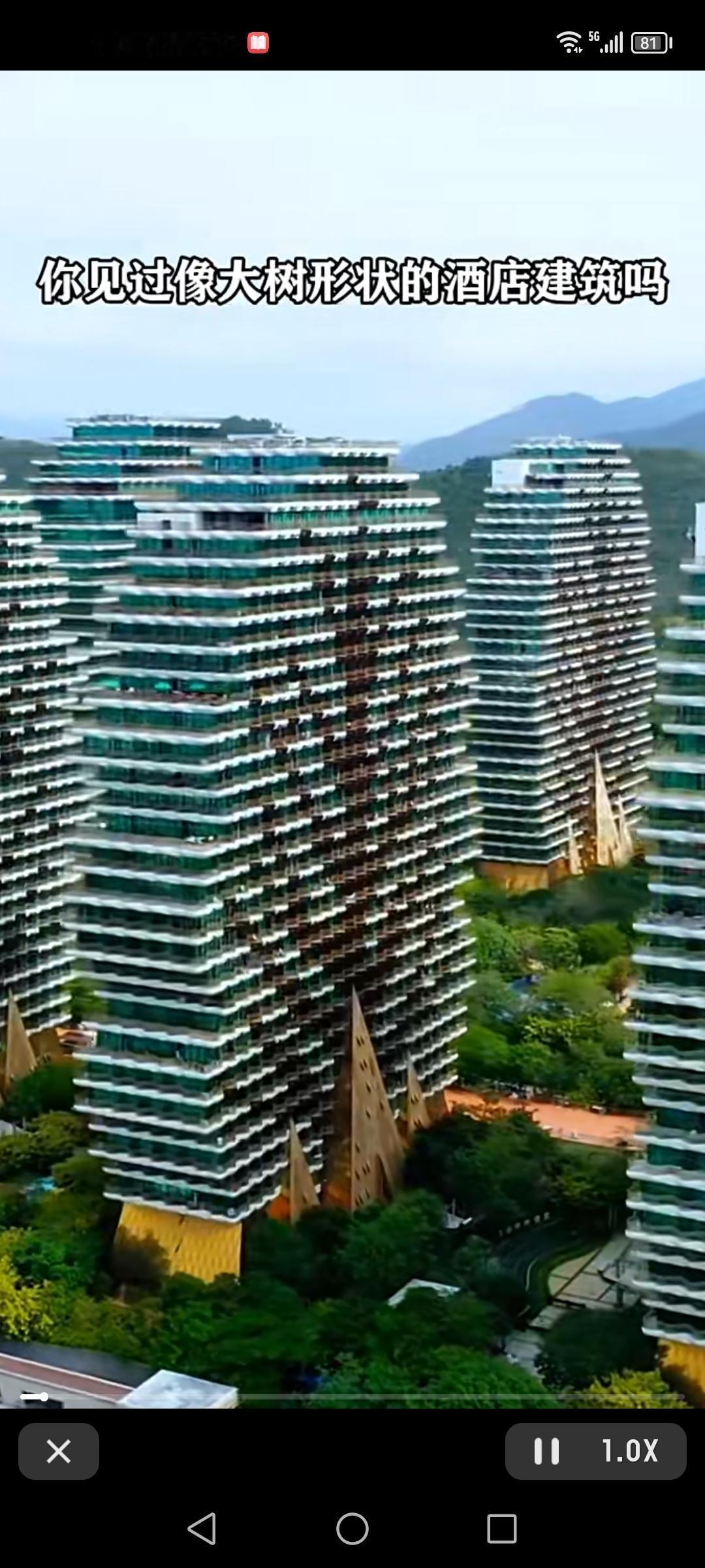 三亚那9栋“大树”建筑又火了，网上疯传是赵本山砸100亿独建的七星级酒店，成了最