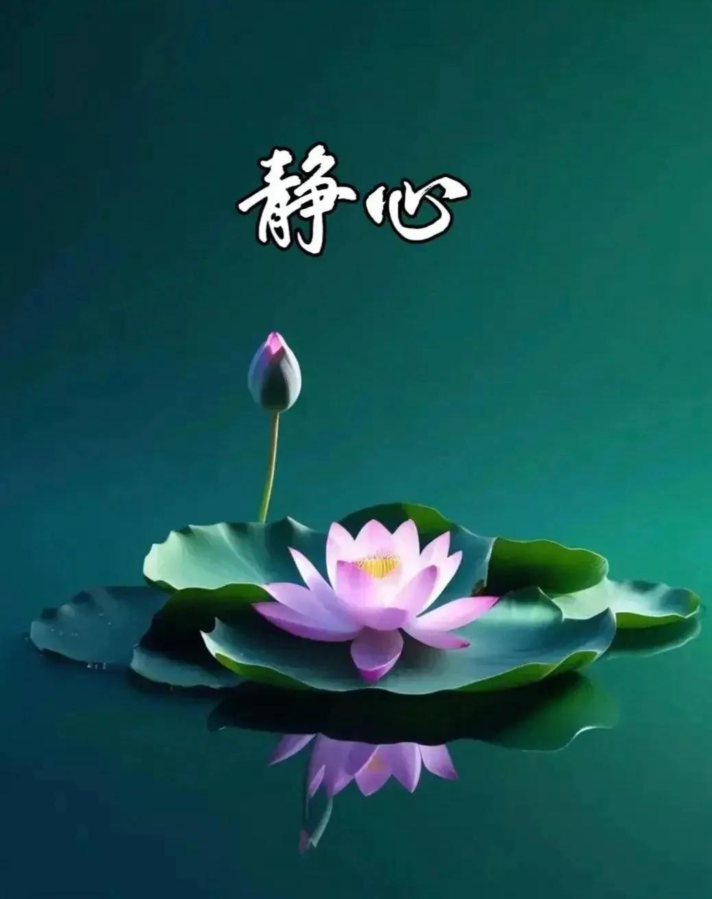 六十岁以后，要想让自己越来越幸福，必须学到（一）少说话。不该说的不说。说