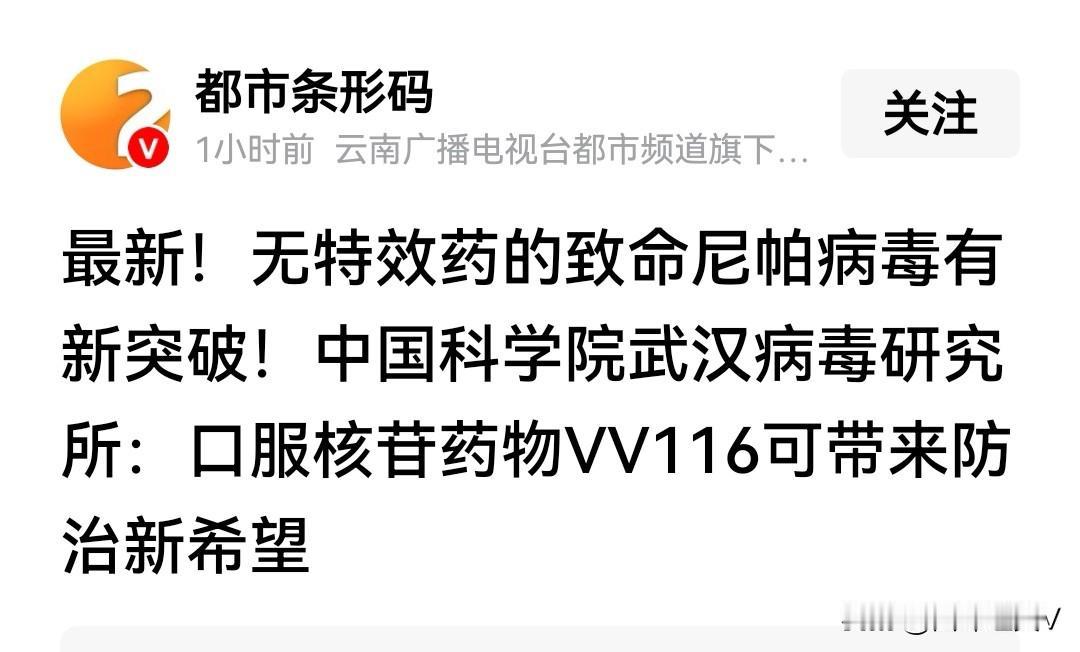 中国突破尼帕病毒药物！VV116成防治新希望！全球警惕的尼帕病毒再