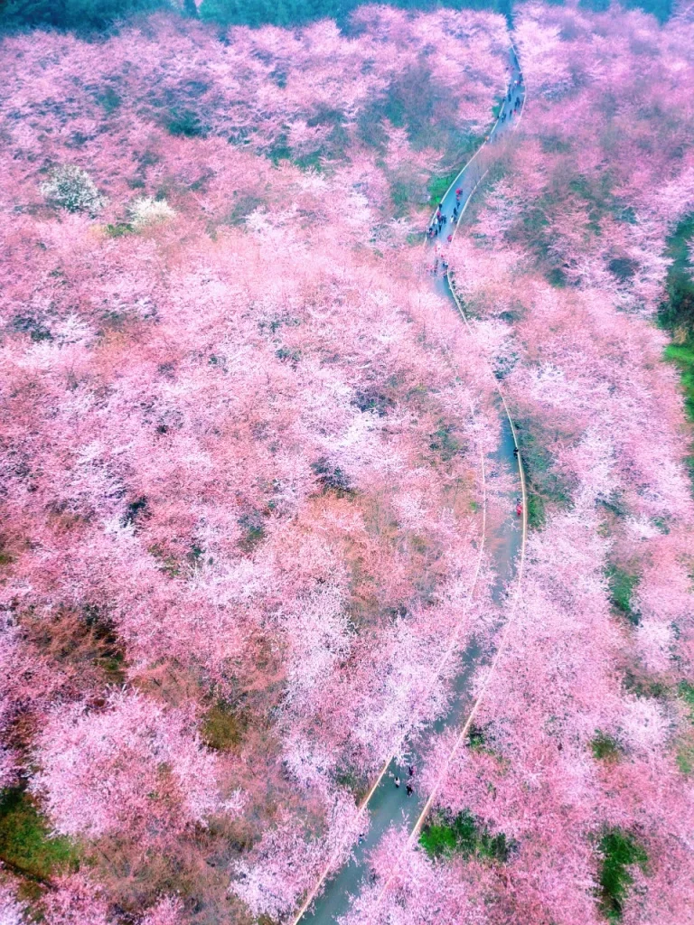 泼水节穿成这样，太容易被集火了