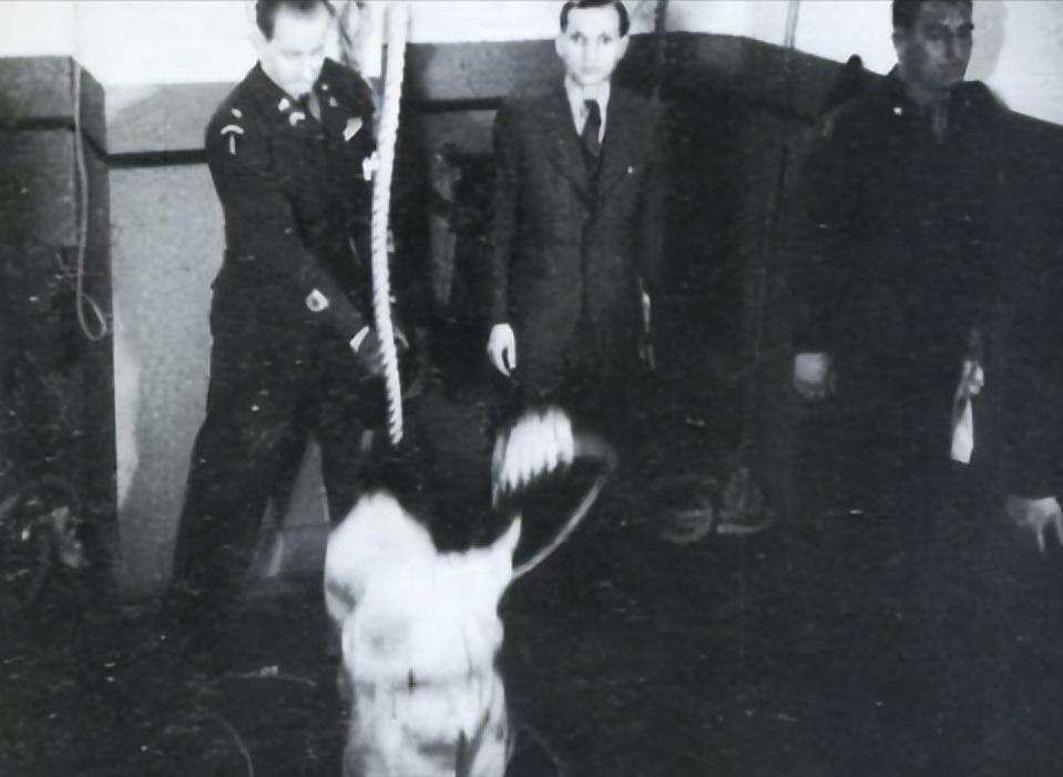 [点赞]绞刑最残忍的地方根本不是快速离世，全程清醒煎熬慢慢断气，还要承受无尽屈