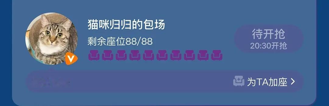 子夜归云包场区超可爱好多只小猫咪​​​