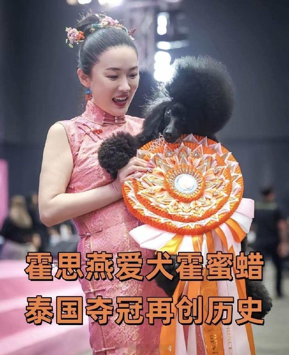 所有女明星里我最搞不懂的人就是霍思燕了带着自家狗狗夺冠后，奖金都还没捂热呢，结果