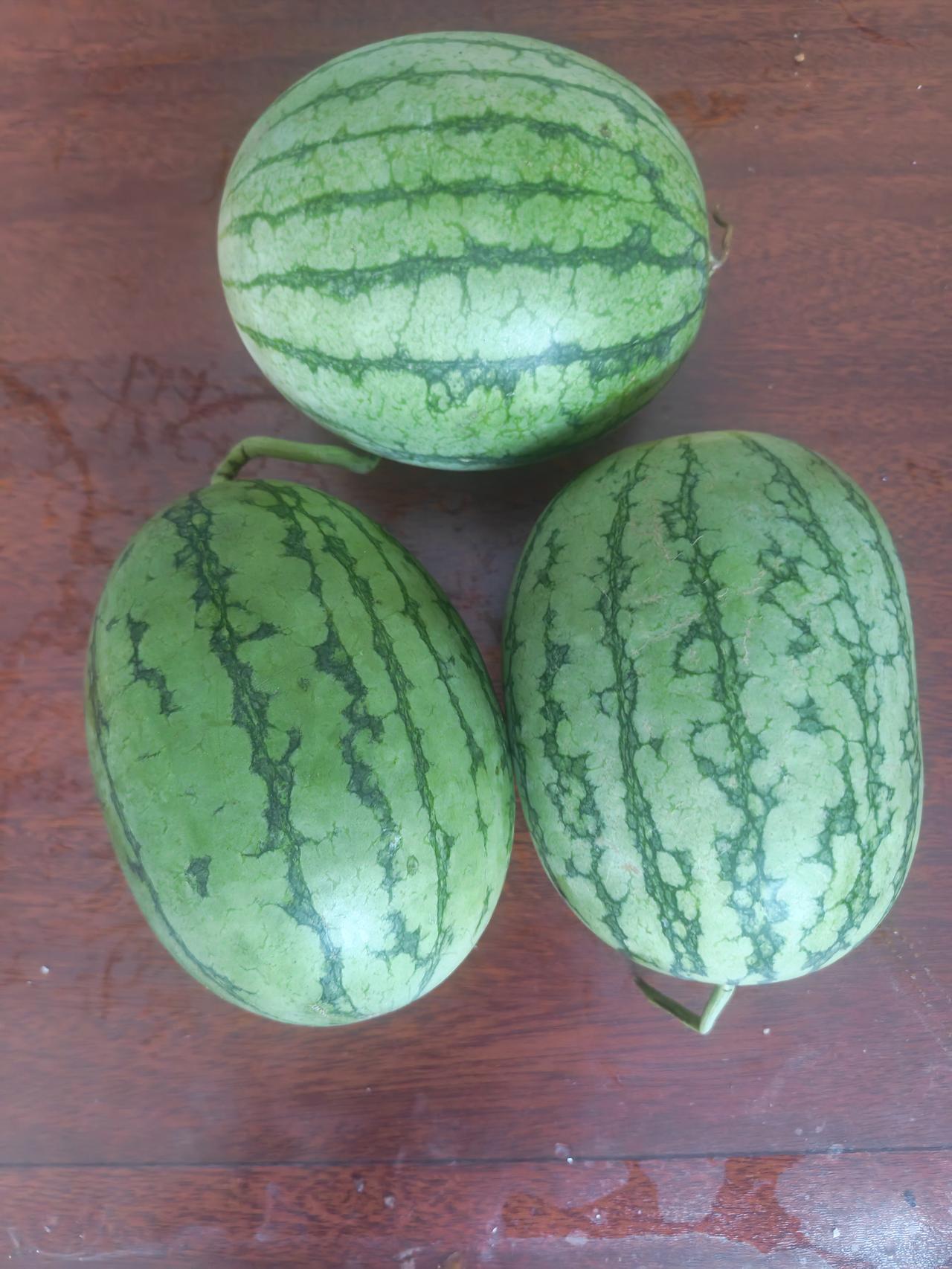 刚才去菜市场买菜，顺便买了三个吊篮西瓜，两块钱一个，三个西瓜花了六块钱，我觉得挺