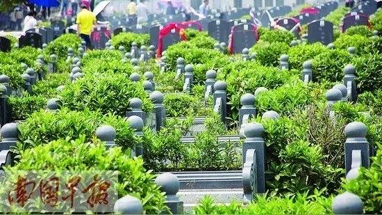 南宁“无纸化”祭扫受热捧，清明寄哀思有了新方式清明将至，南宁“无纸化”祭扫正