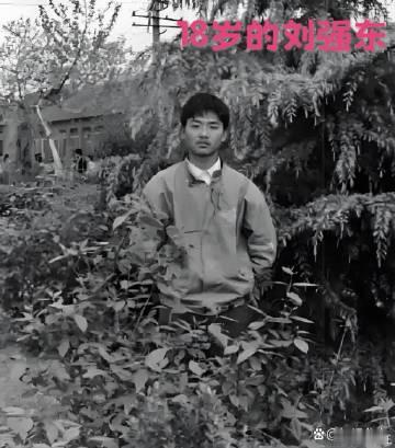 刘强东的18岁 vs 章泽天的18岁