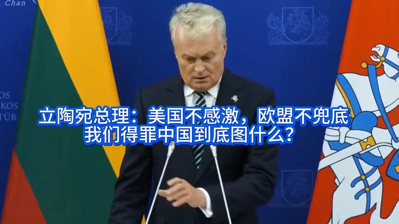 立陶宛总理直击：美国不感激欧盟不兜底，得罪中国到底图什么？