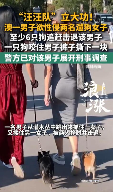 活该！墨尔本，一男子躲在灌木丛中，盯上两名遛狗女子。见四下无人，他突然窜出，一把