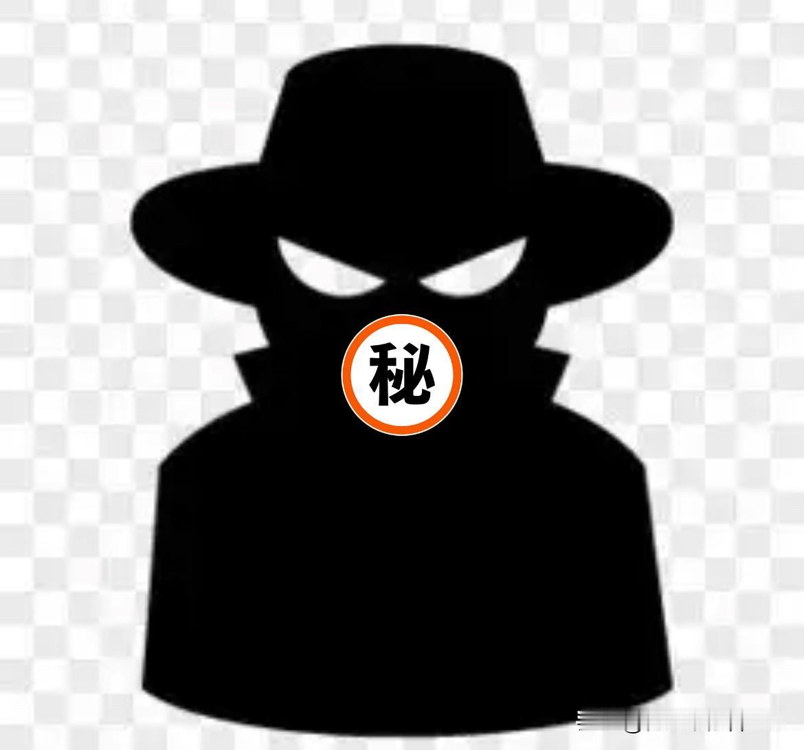 你敢相信吗？90年代，一个月2万美金。这数字，听得我天灵盖都在发麻。