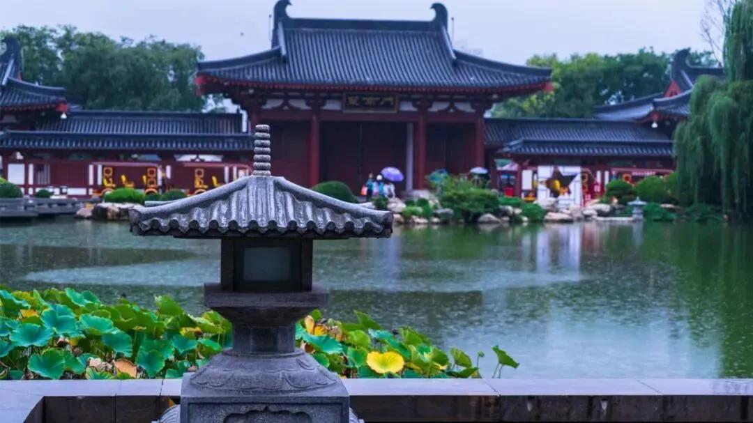 立秋西安：昨天看海，今天看太阳西安下雨有些时日，记不得上次晒太阳是哪一