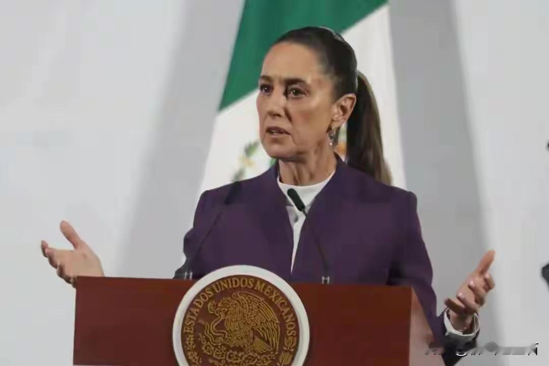 墨西哥和美国这事儿挺有意思。当地时间1月5日，墨西哥总统克劳迪娅·辛鲍姆在新闻发