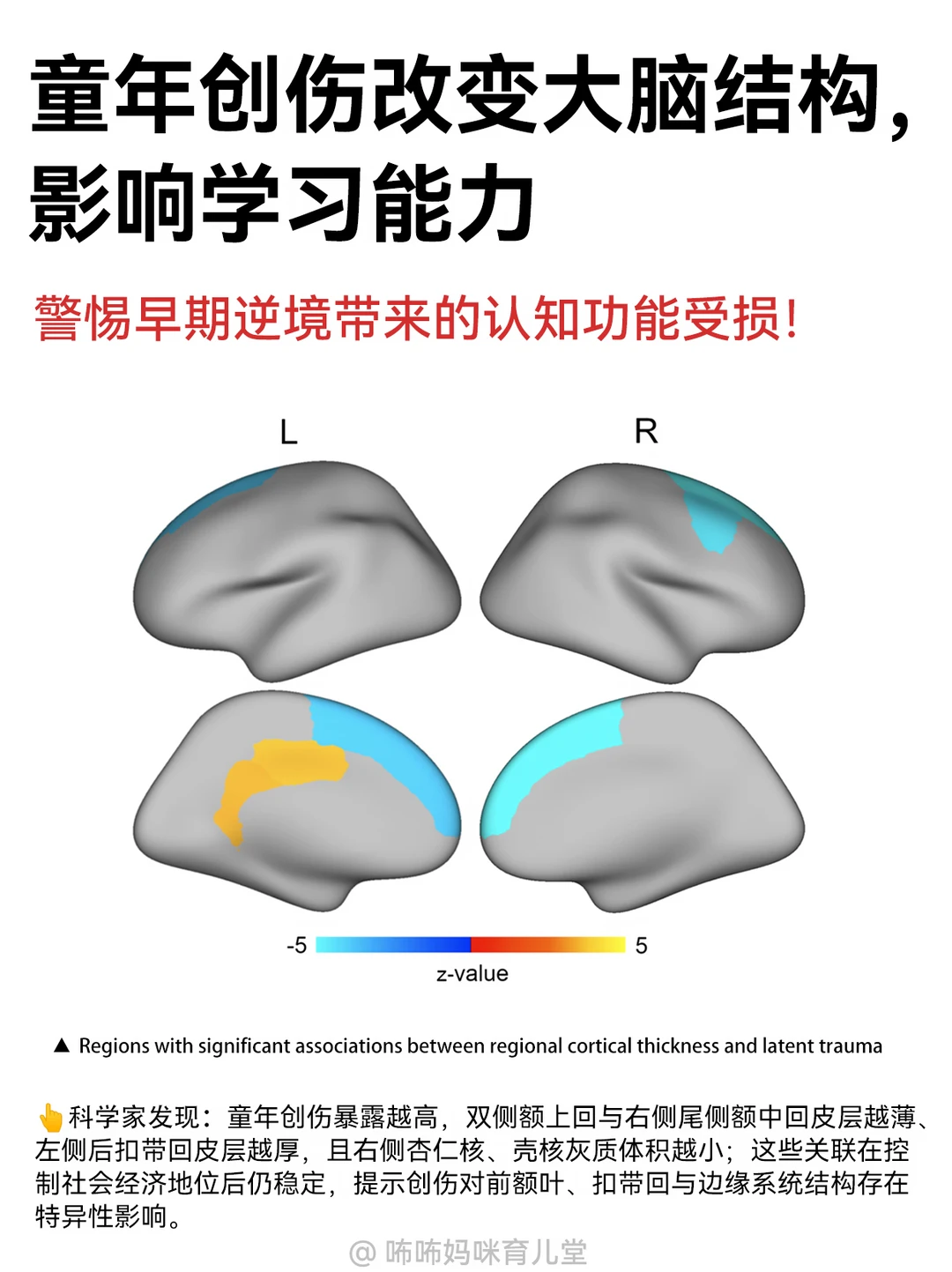脑科学实锤：童年创伤改变大脑，影响学习