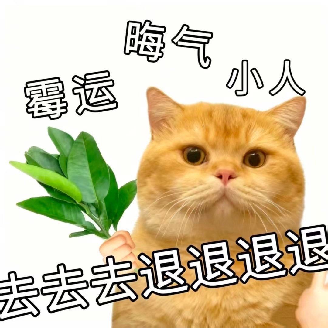 正在被sjsc中