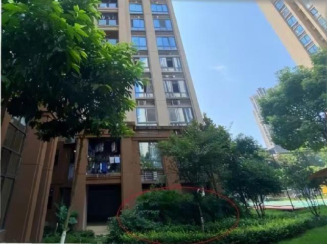 重庆，女子家姐弟4人，父母去世后，留下2套房子和18万存款，房子分别过户给了老二