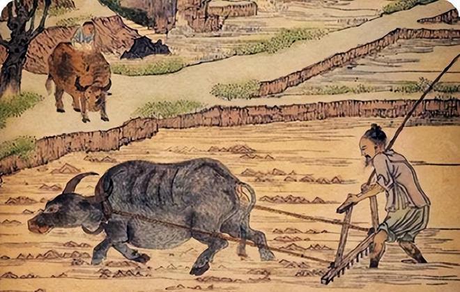 “我国古代没有牛？牛是建国后从美国引进的，它的原型是美国野牛...”这个说法一出