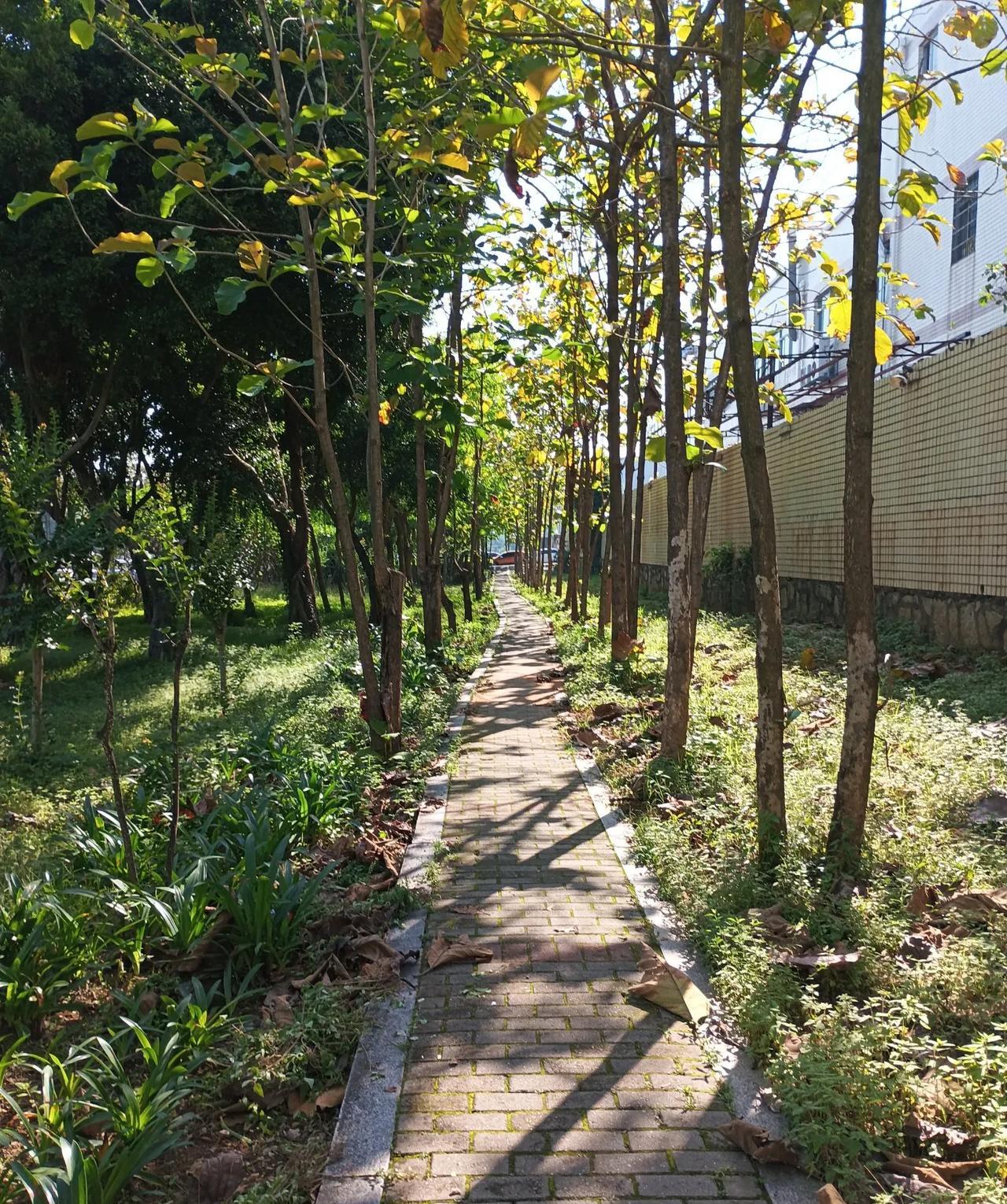 内心憎恨的三大星座星座这东西，有时候还挺有趣的。说内心憎恨的星座，天蝎座算一个