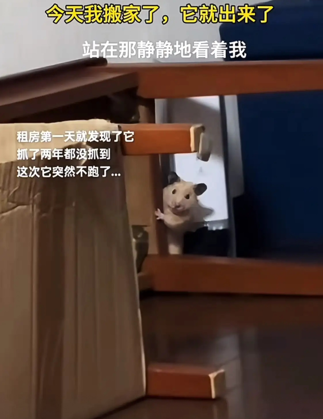 我们该怎么告别呢，像第一次见面那样吗？​​​