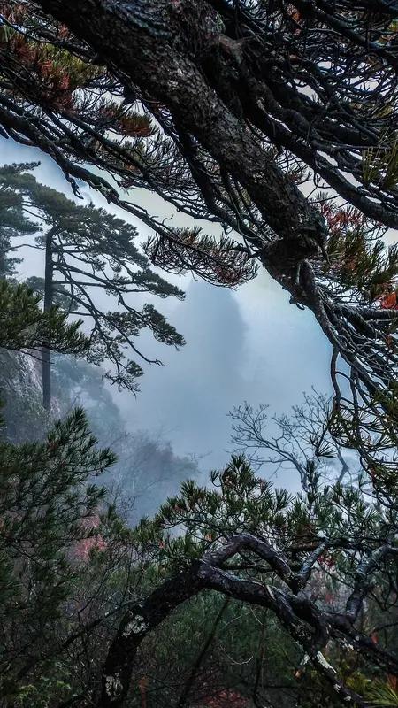 上联：望远烟云落松残，求下联顾近如梦细草新