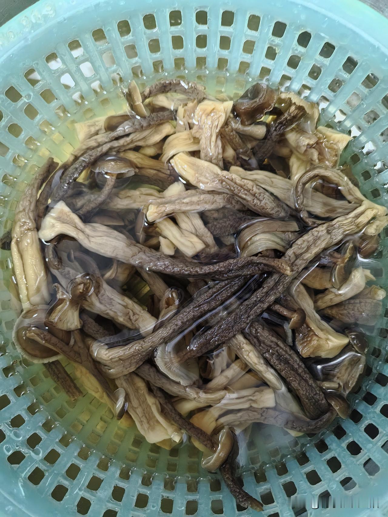 有多少家庭到了周五必定加餐，晚上鹿茸菇烧鸡，清炒西葫芦丝，酸辣椒豇豆炒肉丝。