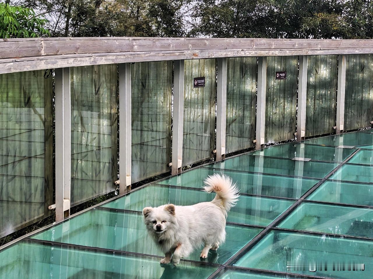 退休后的自由行游客，住宿该选酒店还是民宿呢？近日，虎哥一行结束了4月8-17