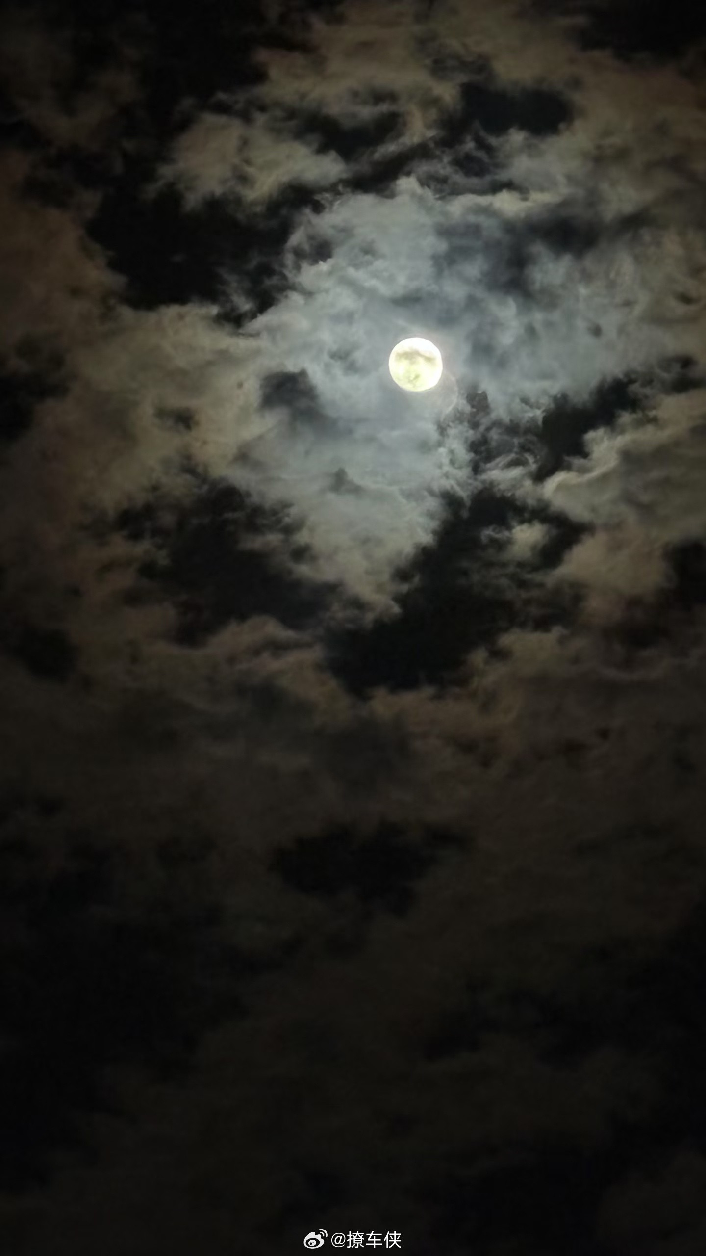 今晚的月亮真好看[吃瓜]​​​