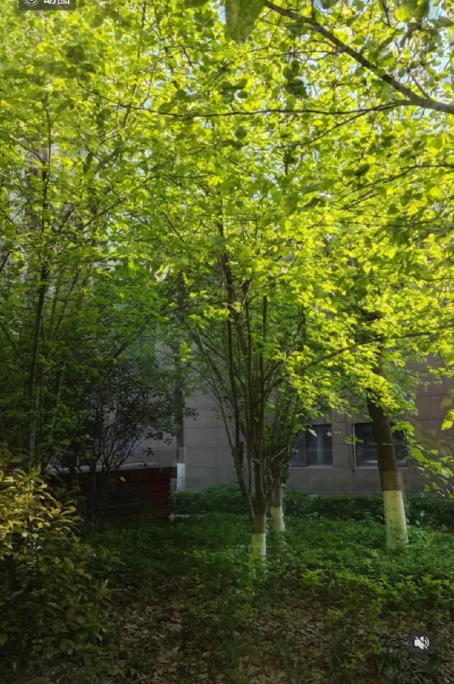 有个老中医跟我说：“你看那些长寿的老人，有几个是靠跑步活到九十岁的？他们靠的是慢