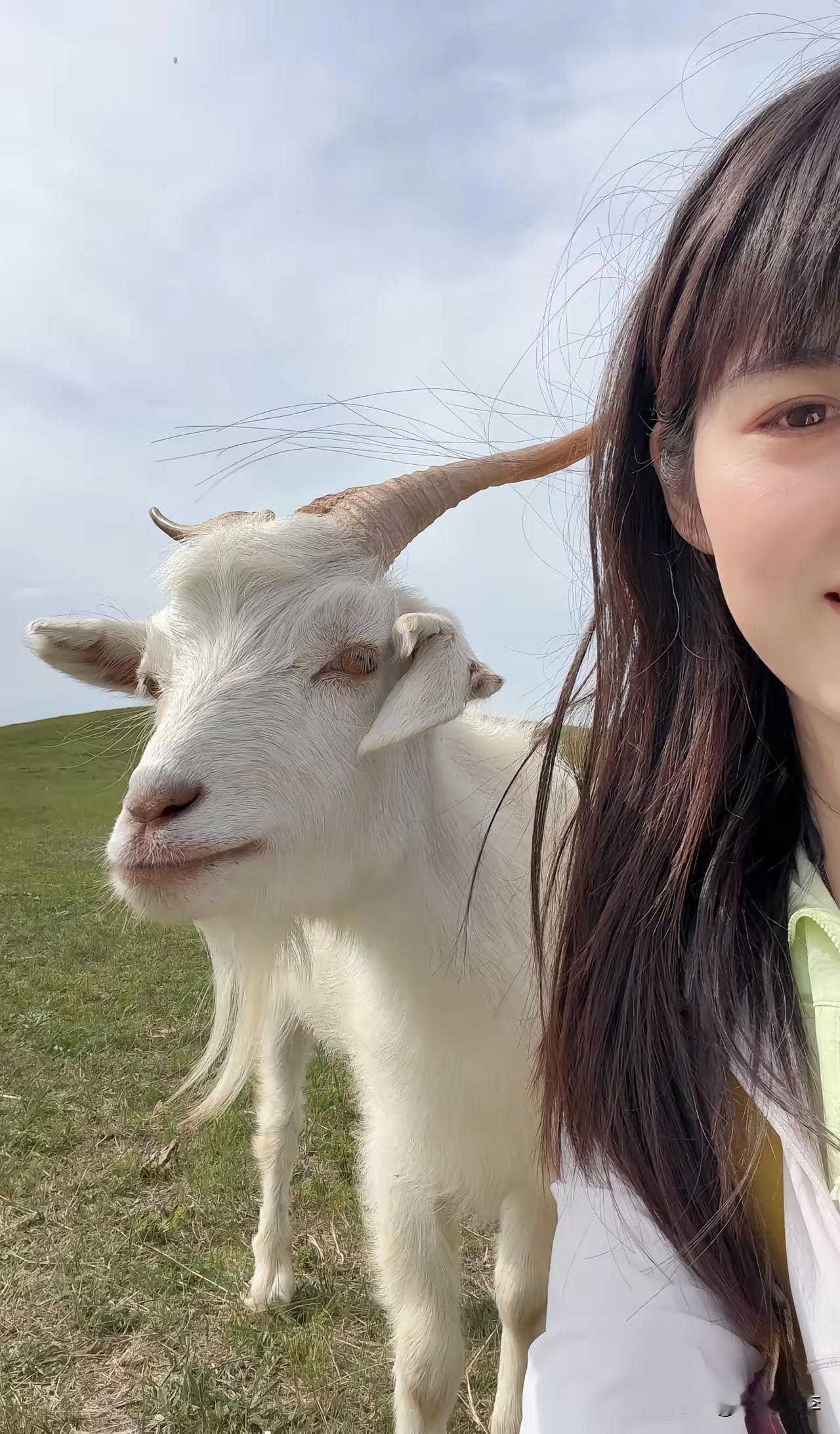 有一种相遇叫前世今生，不知道对不对。西安姑娘木子做梦也没有想到，她去内蒙古大