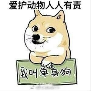 5.20, 3组表情包告诉你单身狗在想什么