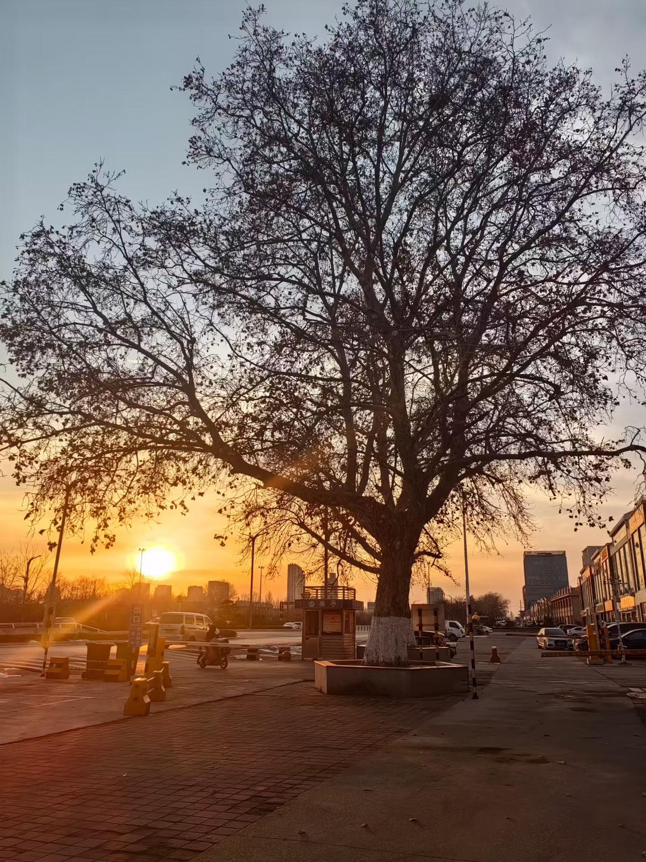 午夜记。最近忙，瞎忙，也没忙出个道道来。前几日，郑老给我送了本宋诗，让我读读，我