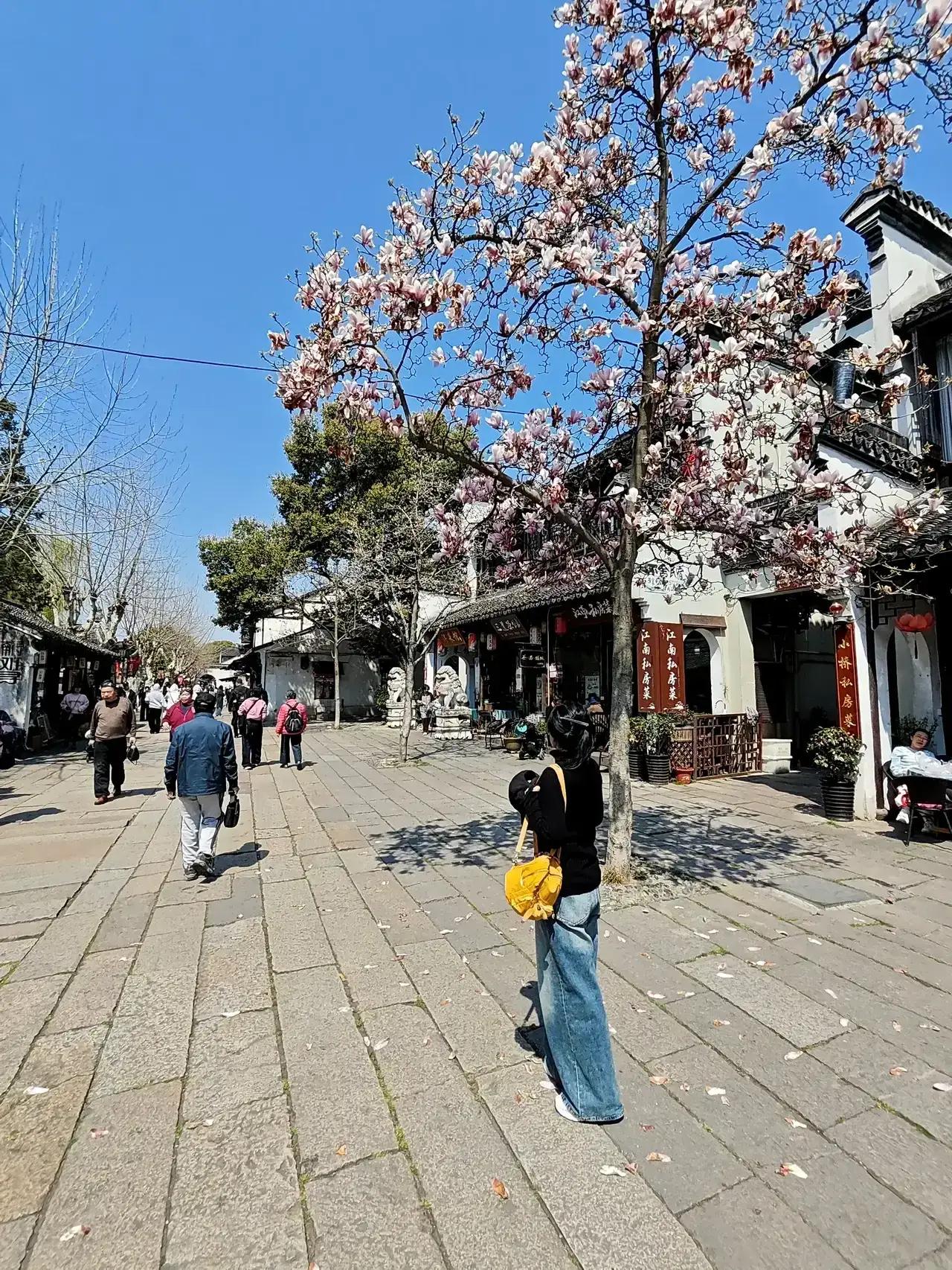 浙江湖州南浔古镇有着不一样的古朴民风，南浔古镇有很多名人旧居。饭菜也比较可口美味