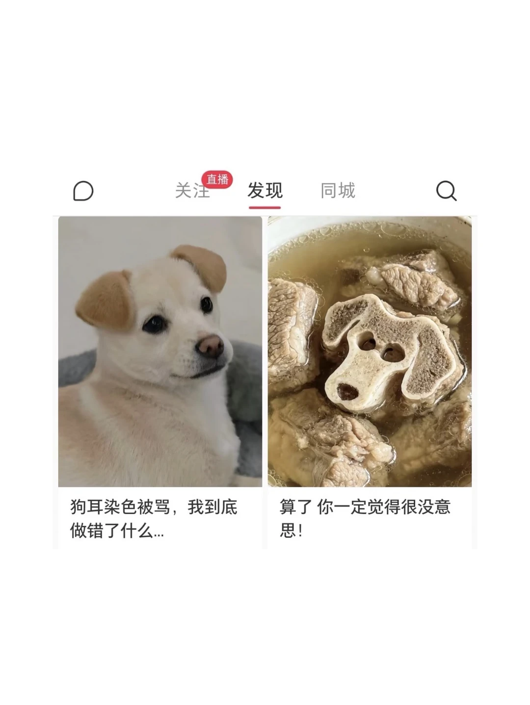 你是会拍版的……哈哈哈哈逗笑我了