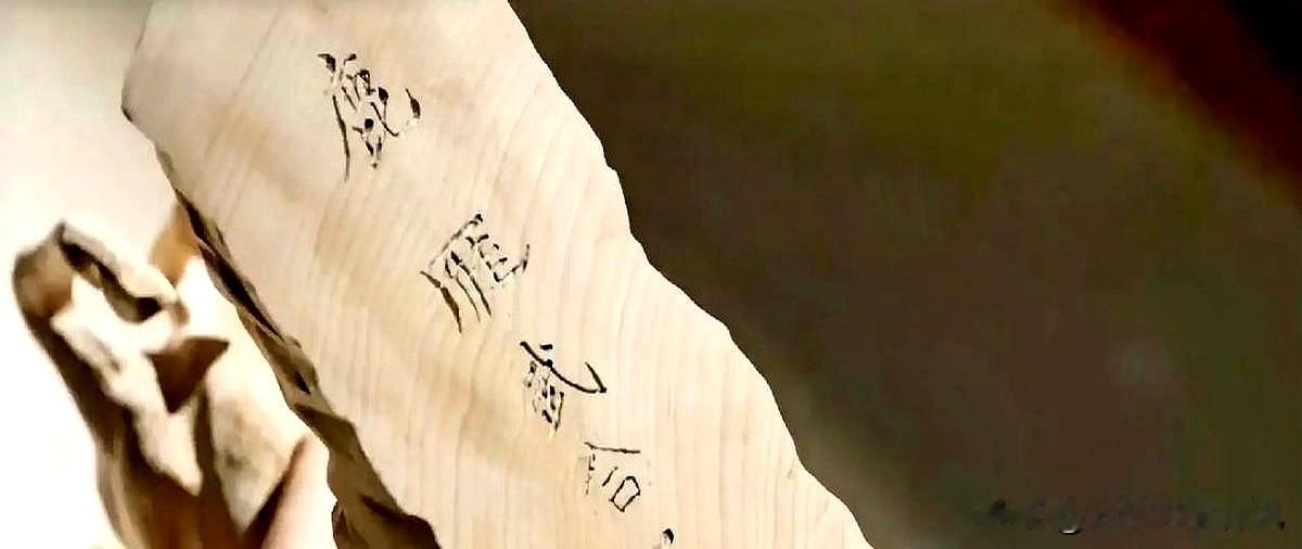 《藏海传》结局：看懂皇帝10年无恙，集齐癸玺铜鱼当晚就死，才知蒯铎对他的坚贞，有