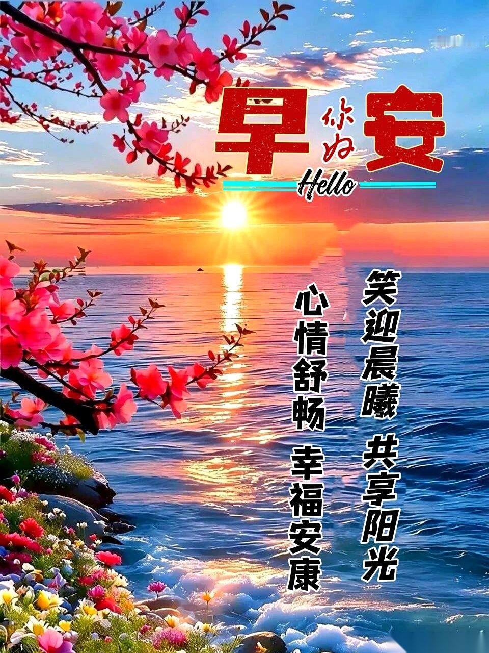 手机一亮，又是那条莲花配大字的“早安”问候。我摁住，点删除，一套动作行云流水，