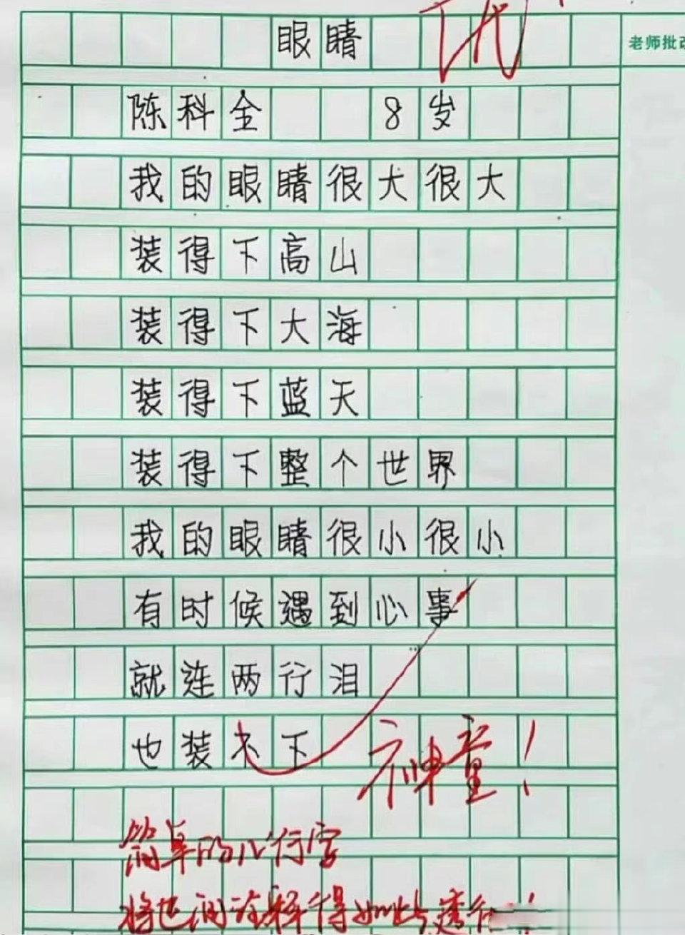 我不敢相信这是小学生的作文