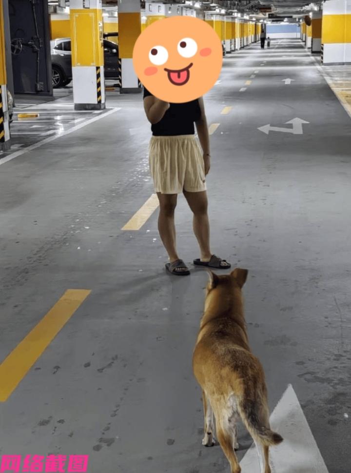 广东佛山有女子在一处车库内遛狗，关键还不栓绳，有人看见后提出意见，女子不以为然，