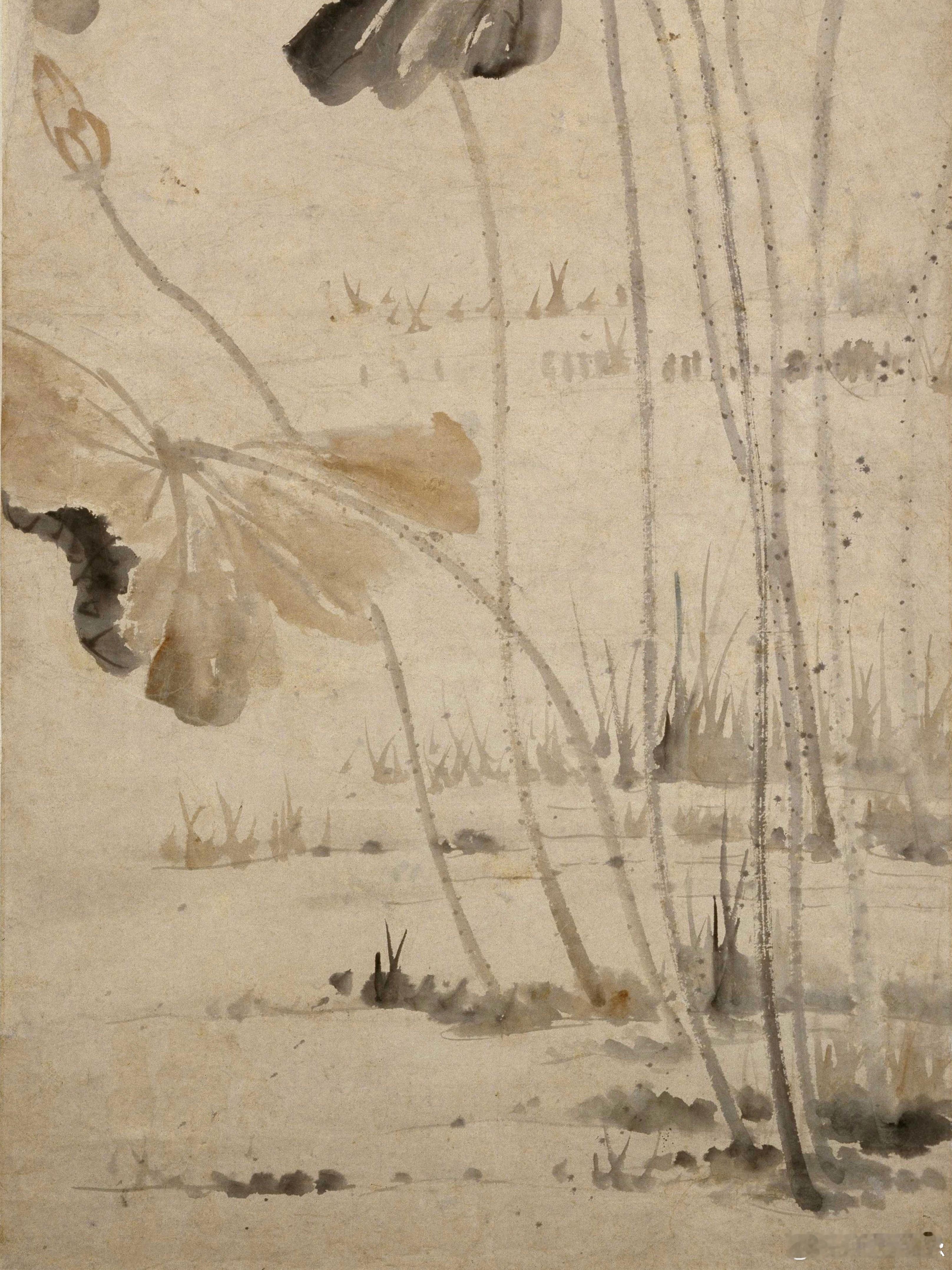 清·高凤翰《荷花图》故宫博物院收藏。自跋：投纸索画留承西亭者经年。丁未（1727