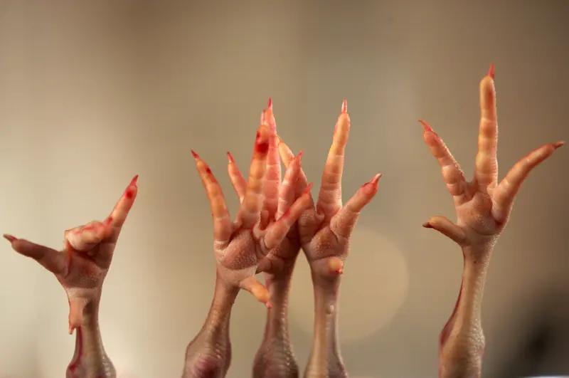 315曝光的鸡爪公司股东也在看晚会315晚会上曝光鸡爪公司的这事儿太讽刺了！被