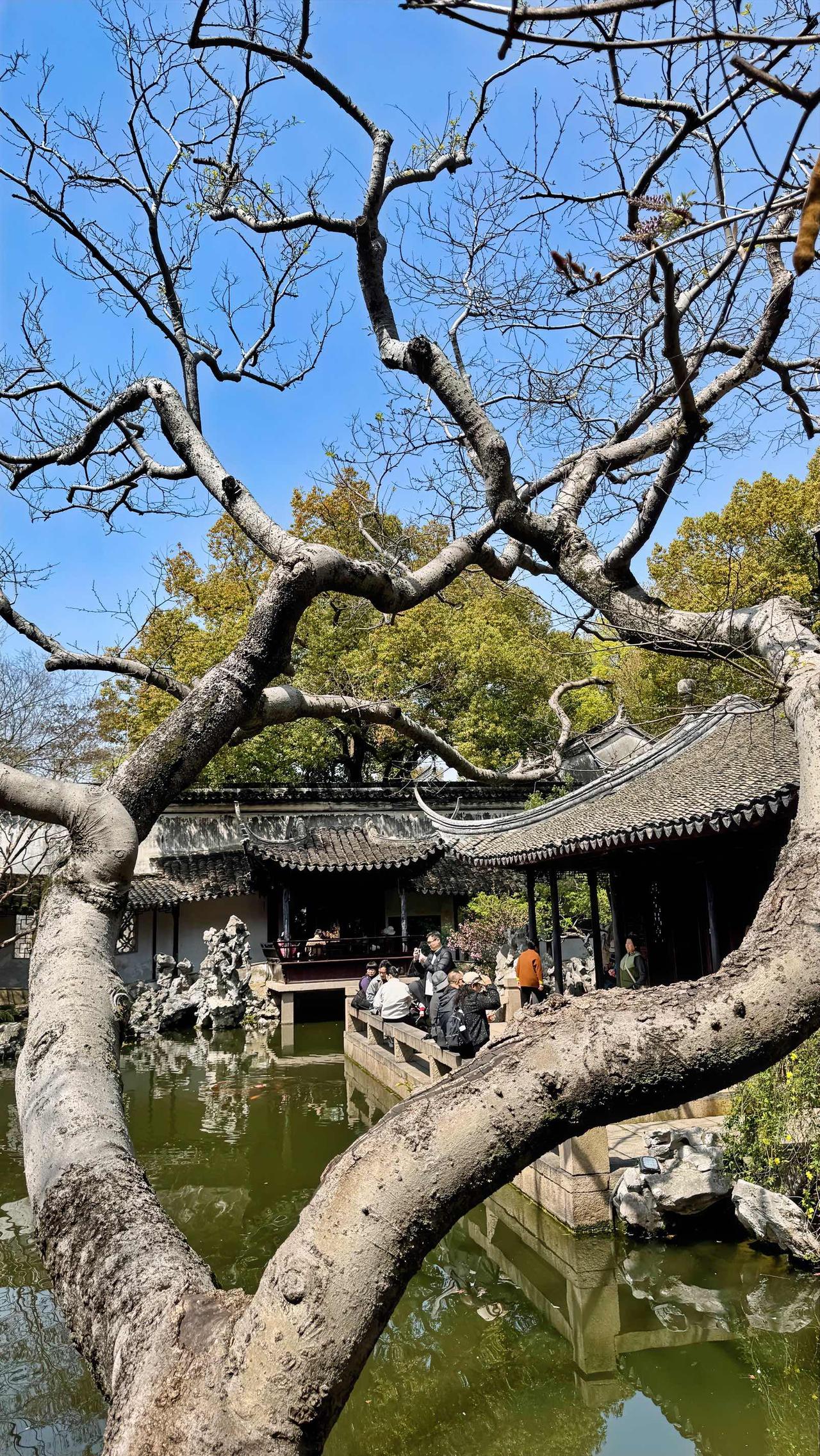 苏州同里古镇退思园美照。