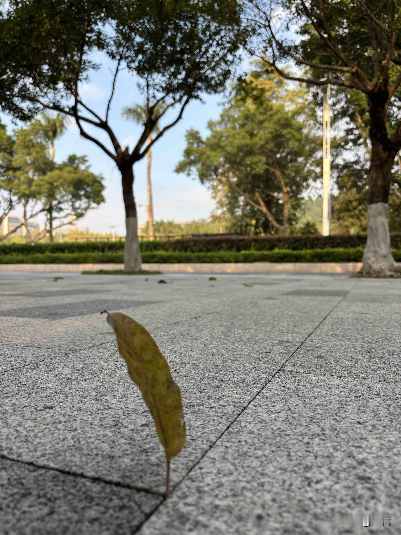 段永平说过一句很现实的话：散户在资金、信息、研究能力上，本来就全面落后于机构。