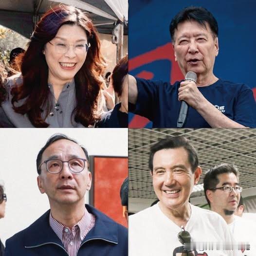 郑丽文“一妇当关”骂遍国民党大佬！若怒蓝营一堆战狼，心直口快政治历练不够的郑丽文