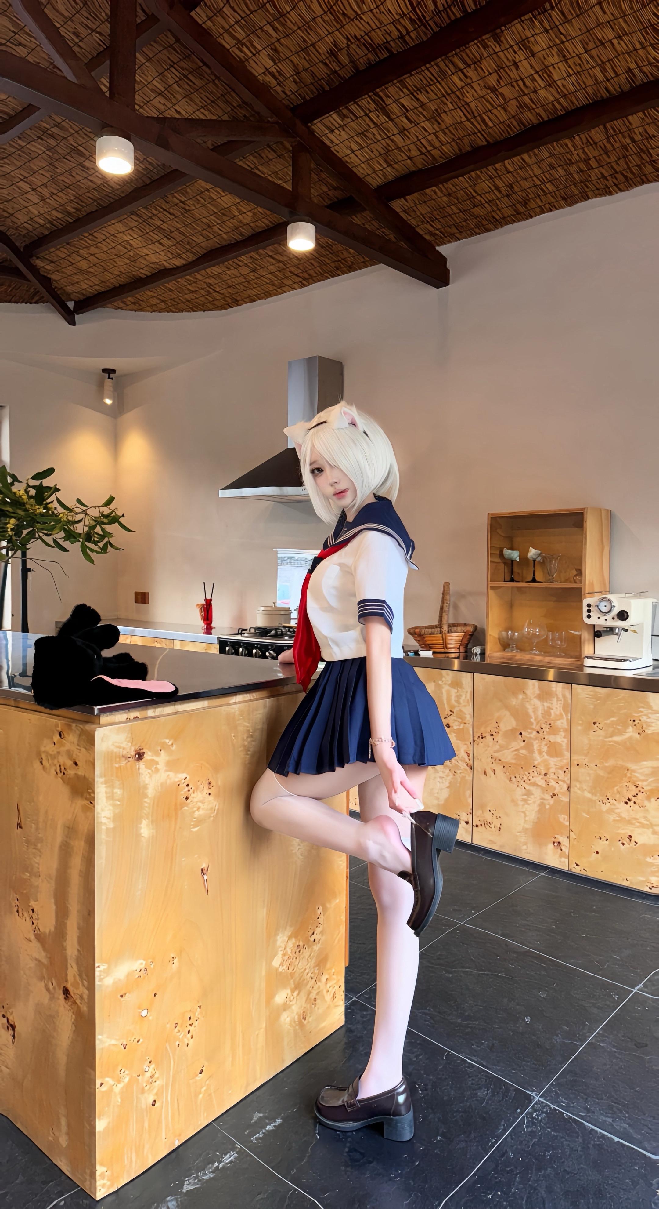 小猫 白毛