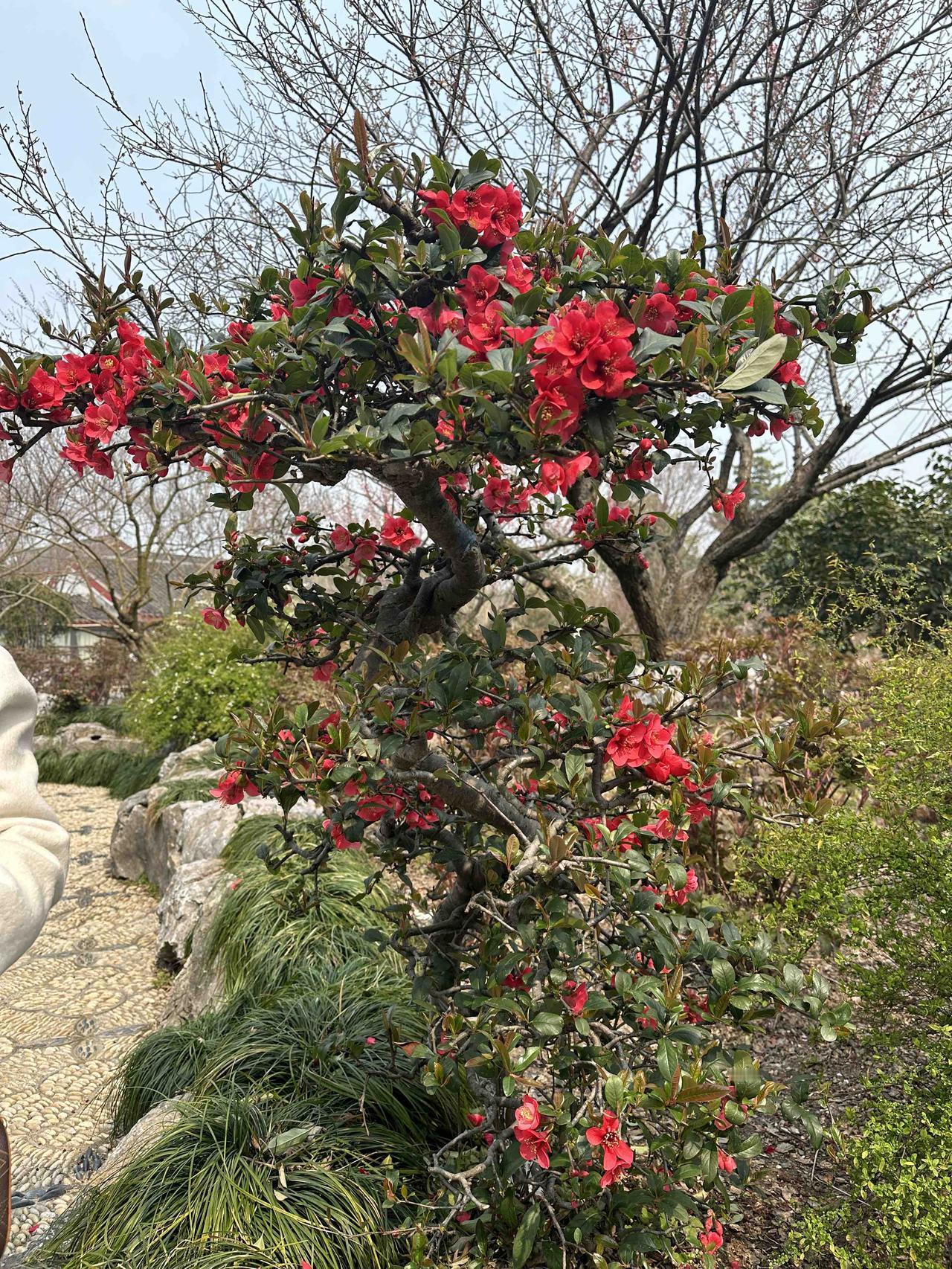 养生最高境界：活得通透的人，从来都有这10个特征真正的养生，从来不靠吃药进
