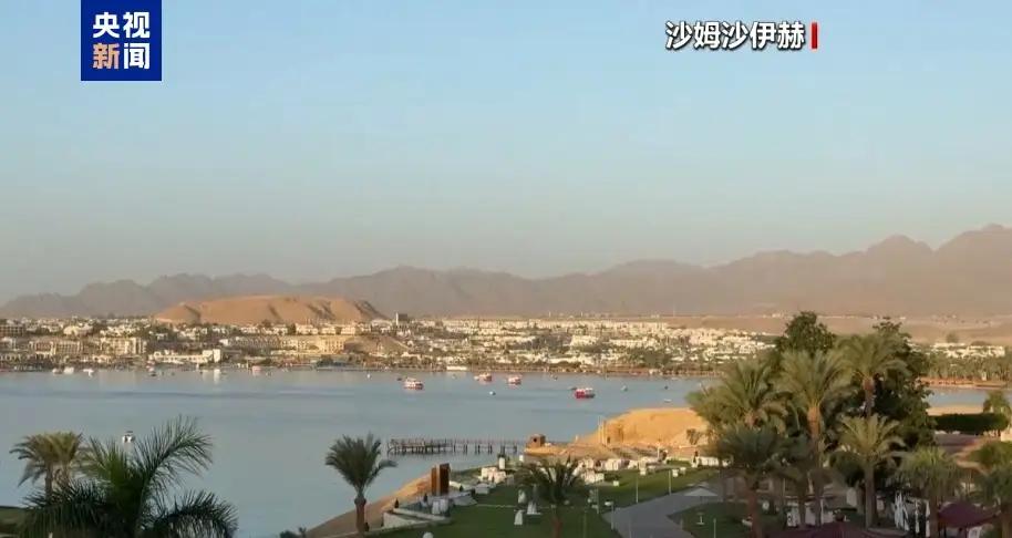 【一丝希望】当地时间10月7日，巴勒斯坦伊斯兰抵抗运动（哈马斯）代表团在与以色